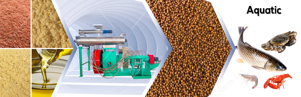 How to use the dsp wet type extruder machine to make fish shrimp feed