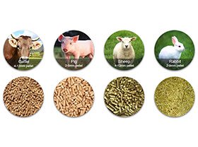 Animal Feed Production Line
