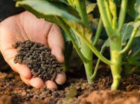 Organic Fertilizer Pellet Plant Production Line