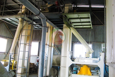 Vietnam Professional 2.5 T/H Complete Line for Fish Pellet Mill