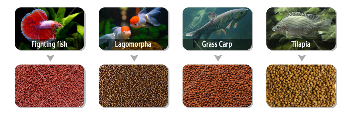 Fish and fish feed