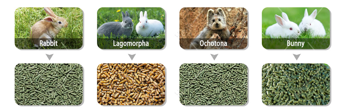 Rabbit and rabbit feed